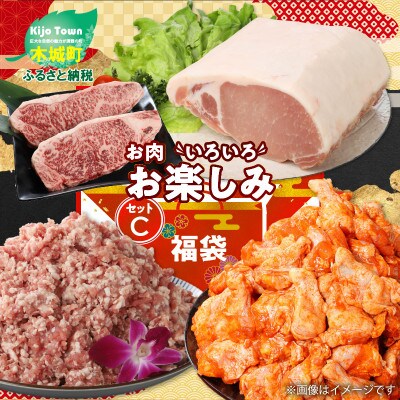 福袋 木城町 お肉いろいろお楽しみセットC