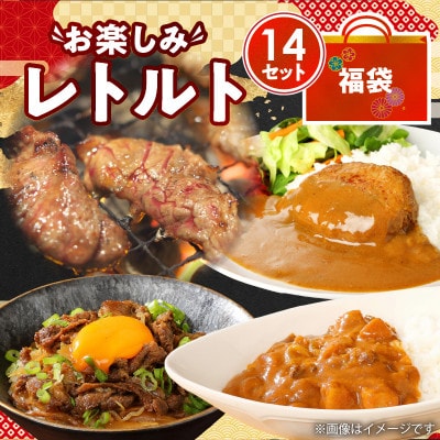 福袋 お楽しみレトルト詰め合わせ14パックセット