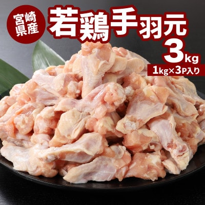 若鶏手羽元3kg【1kg×3小分け】真空冷凍で便利保存　K16_0086