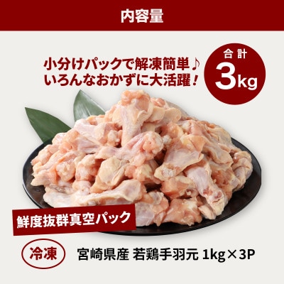 若鶏手羽元3kg【1kg×3小分け】真空冷凍で便利保存　K16_0086