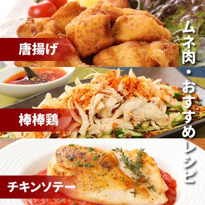 宮崎県産若鶏ムネ肉　カット 小分け 6kg(300g×20) 　K16_0127