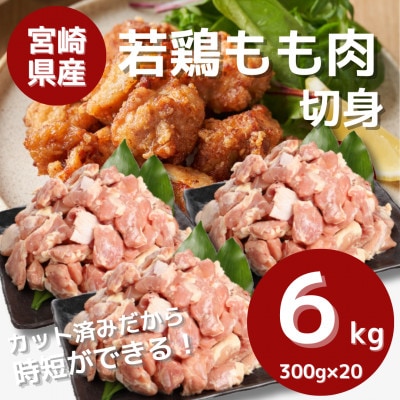 宮崎県産若鶏ももカット 小分け 6kg(300g×20) K16_0130