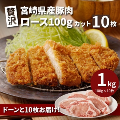 贅沢宮崎県産豚肉ロース　1kg(100gカット10枚) K16_0149
