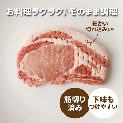 贅沢宮崎県産豚肉ロース　1kg(100gカット10枚) K16_0149