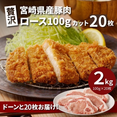 贅沢宮崎県産豚肉ロース　2kg(100gカット20枚) K16_0150