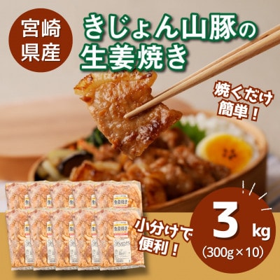 簡単調理　宮崎県産豚肉の生姜焼き 3kg(300g×10)　K16_0147