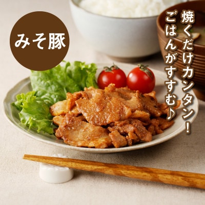 簡単調理　宮崎県産豚肉のみそ豚3kg( 1kg×3)　K16_0152