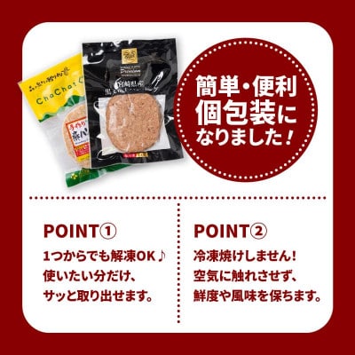 宮崎県産黒毛和牛ハンバーグ20個・きじょん山豚ハンバーグ20個《合計40個セット》K16_0158