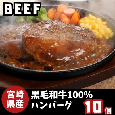 宮崎県産黒毛和牛100%ハンバーグ120g×10個　K16_0160