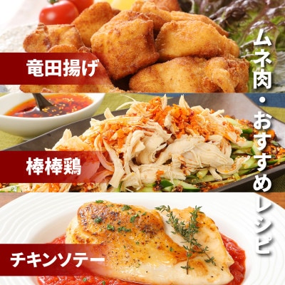 宮崎県産 やわらか若鶏2種 小分け(4.8kg) K16_0112