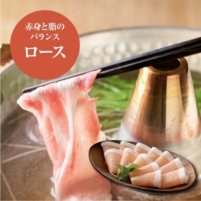 宮崎県産 豚しゃぶしゃぶミックス(ロース500g×2・バラ500g×2) K16_0117