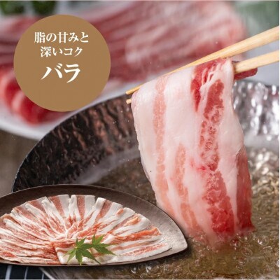 宮崎県産 豚しゃぶしゃぶミックス(ロース500g×2・バラ500g×2) K16_0117
