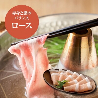 宮崎県産 豚バラエティAセット(ロース500g・バラ500g・もも500g×2) K16_0118