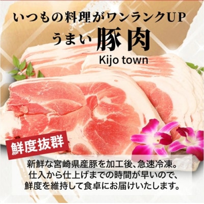 宮崎県産豚スライス2kg　 K16_0176