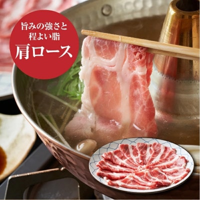 宮崎県産豚肩ロースしゃぶしゃぶ用 500g　K16_0171