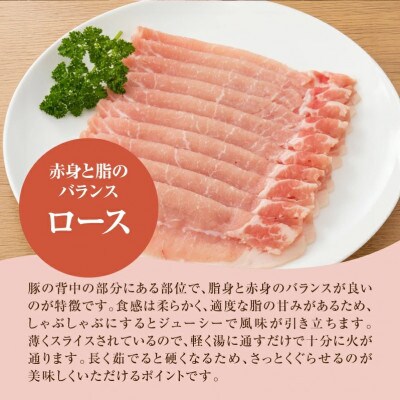 宮崎県産豚ロースしゃぶしゃぶ用 1kg(500g×2)　K16_0190