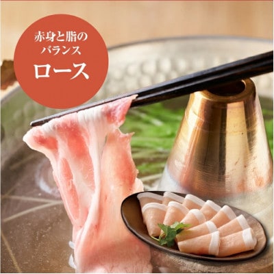 宮崎県産豚ロースしゃぶしゃぶ用 500g　K16_0192
