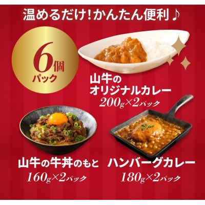 福袋 お楽しみレトルト詰め合わせ6パックセット　