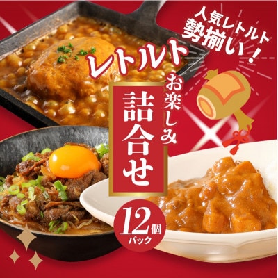 福袋 お楽しみレトルト詰め合わせ12パックセット