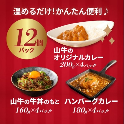 福袋 お楽しみレトルト詰め合わせ12パックセット