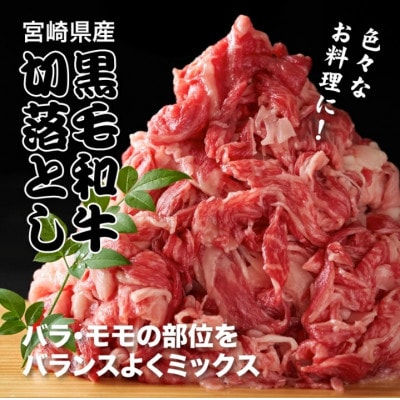 【毎月定期便】宮崎県産黒毛和牛 贅沢切り落とし1kg(500g×2)　K16_T015全6回