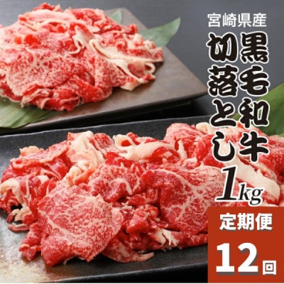 【毎月定期便】宮崎県産黒毛和牛 贅沢切り落とし1kg(500g×2)　K16_T016全12回
