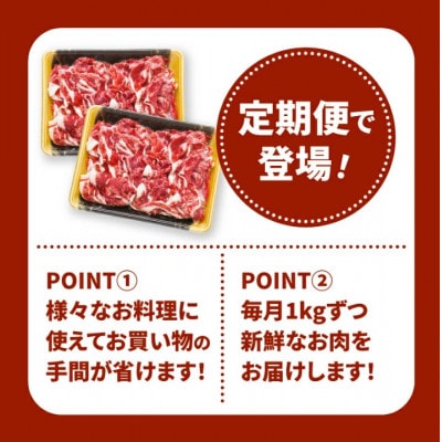 【毎月定期便】宮崎県産黒毛和牛 贅沢切り落とし1kg(500g×2)　K16_T016全12回