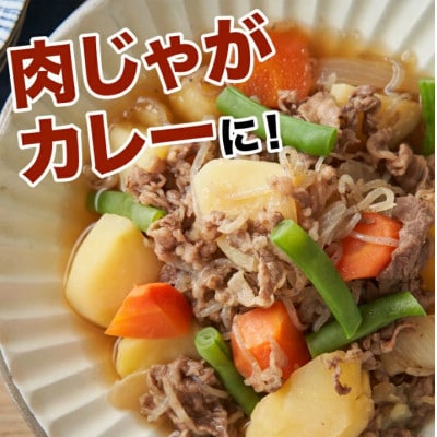 【毎月定期便】宮崎県産黒毛和牛 贅沢切り落とし1kg(500g×2)　K16_T016全12回