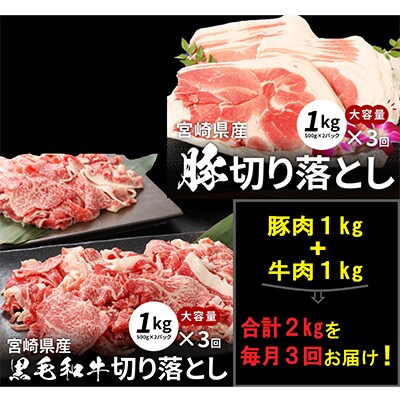 2023年9月発送開始『定期便』牛肉&豚肉切り落としセット　全3回