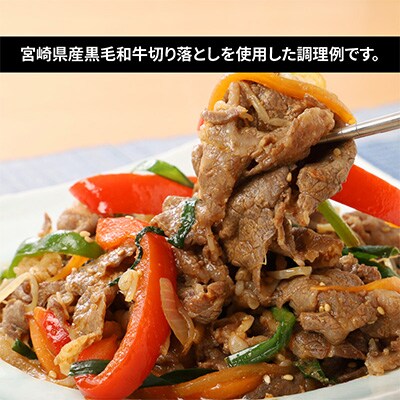 2023年9月発送開始『定期便』牛肉&豚肉切り落としセット　全3回