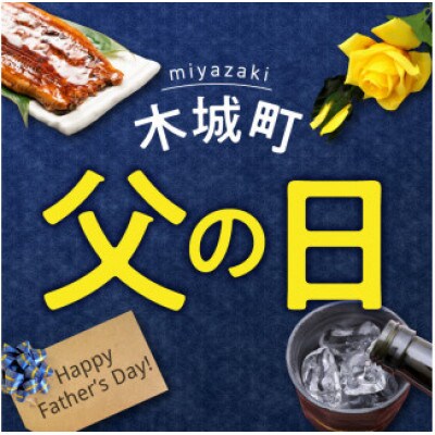 【父の日ギフト】焼酎尾鈴山(山ねこ　720ml×6本)
