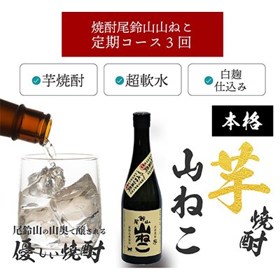 【毎月定期便】焼酎尾鈴山 山ねこ 720ml×2本 全3回