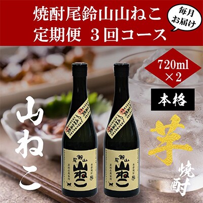 2023年11月発送開始『定期便』焼酎尾鈴山　山ねこ(720ml×2本)全3回