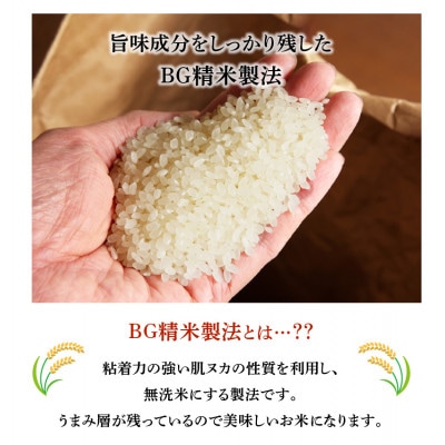 楽天市場】令和6年産 無洗米 茨城県産 コシヒカリ 10kg(10キロ