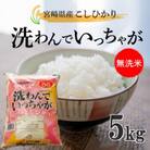 【令和5年産】無洗米コシヒカリ　洗わんでいっちゃが　5kg