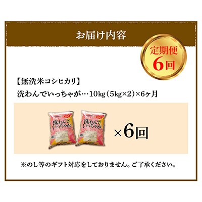 【毎月定期便】宮崎県産 無洗米こしひかり 洗わんでいっちゃが10kg全6回