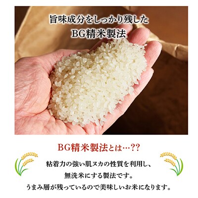 【毎月定期便】宮崎県産 無洗米こしひかり 洗わんでいっちゃが10kg全6回