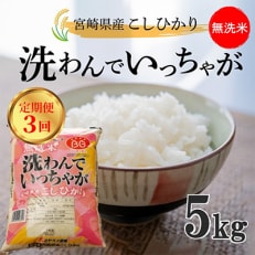 【毎月定期便】無洗米こしひかり「洗わんでいっちゃが5kg」 全3回