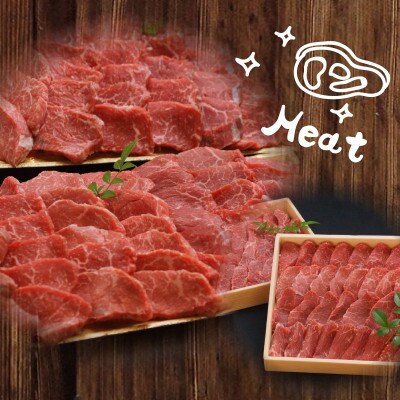 木城白木八重牧場育ちの黒毛和牛厳選焼肉 600g K20_0012_3