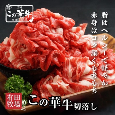 有田牧場直送 この華牛切落し 600g