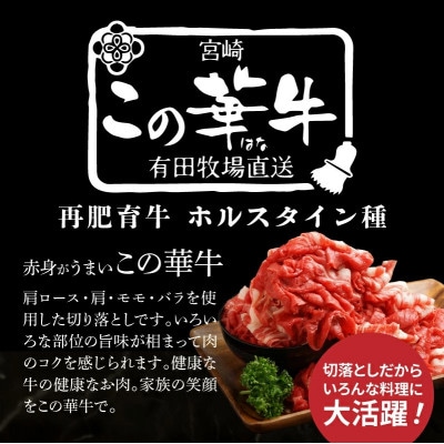 有田牧場直送 この華牛切落し 600g