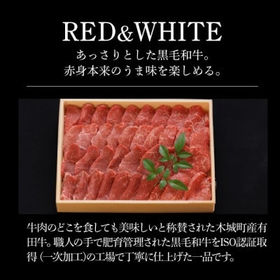 木城白木八重牧場育ちの黒毛和牛厳選焼肉 500g