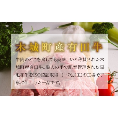 木城白木八重牧場育ちの黒毛和牛厳選焼肉 500g