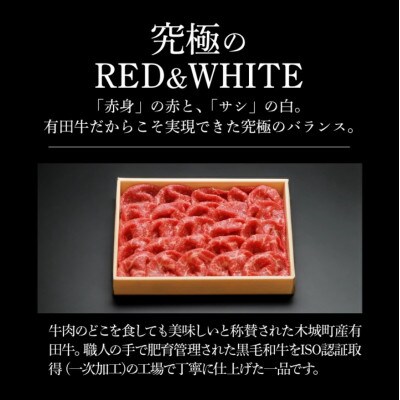 宮崎EMO黒毛和牛 すき焼き用上スライス500g