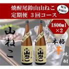 【毎月定期便】焼酎尾鈴山 山ねこ 1800ml×2本　全3回