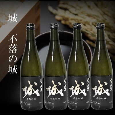 木城町 毛呂山町 新しき村友情都市コラボ 日本酒 純米吟醸 城 不落の城 4本 お礼品詳細 ふるさと納税なら さとふる