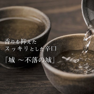 木城町・毛呂山町 新しき村友情都市コラボ 日本酒 純米吟醸「城 ~不落の城」4本