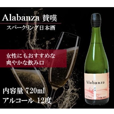 木城町・毛呂山町 新しき村友情都市コラボ日本酒2種4本セット(城2本・Alabanza2本)