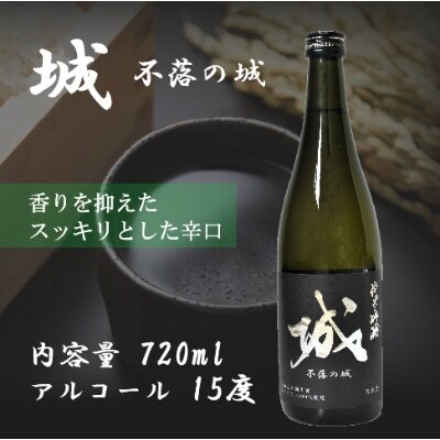 木城町・毛呂山町 新しき村友情都市コラボ日本酒2種4本セット(城1本・Alabanza3本)