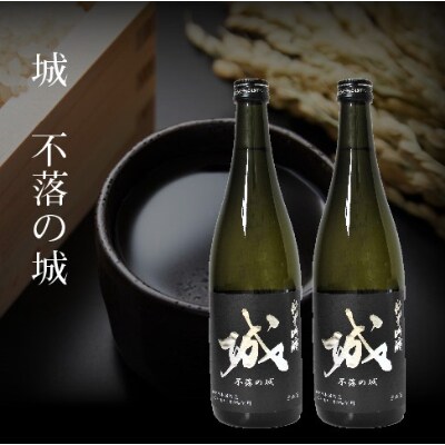 木城町・毛呂山町 新しき村友情都市コラボ 日本酒 純米吟醸「城 ~不落の城」2本